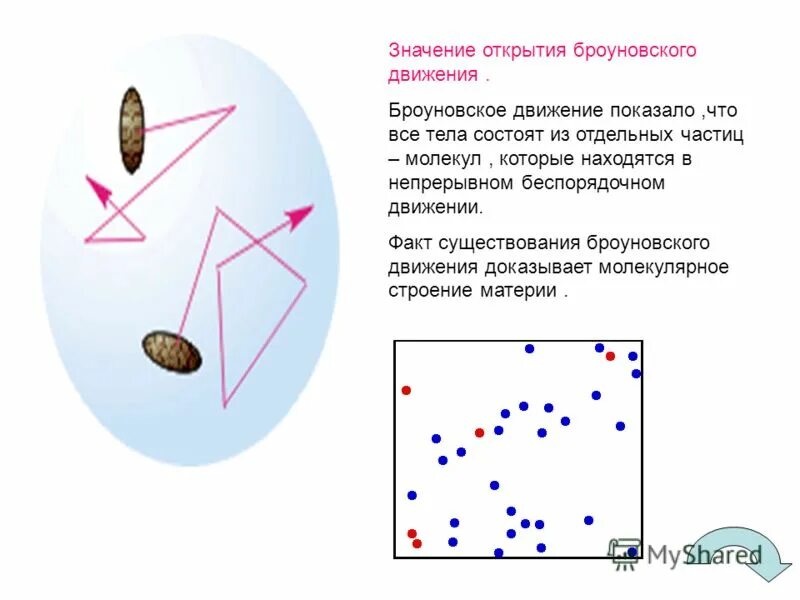 Броуновское движение. Открытие броуновского движения. Броуновское движение физика. Доказательство броуновского движения. Движение броуна