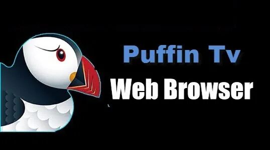 Puffin browser mod. Браузер puffin tv. puffins логотип. взломанный пуффин. puffin браузер на тв.