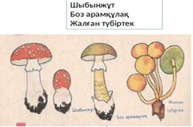 Пицца жеткізуші қыздың порносы