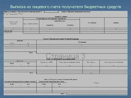 Согласно выписки из лицевого счета