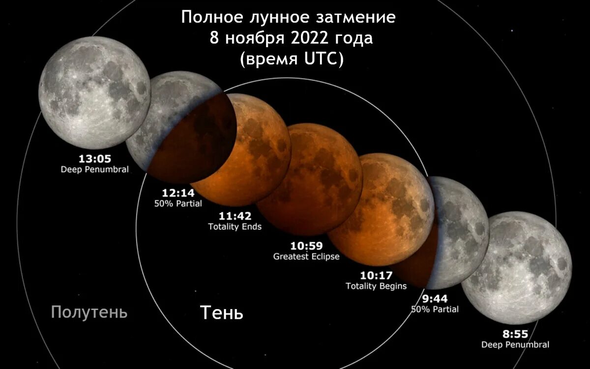 Лунное затмение 8 ноября 2022 года. Лунное затмение полное затмение. Лунное затмение фото. Полное лунное затмение Кровавая Луна.