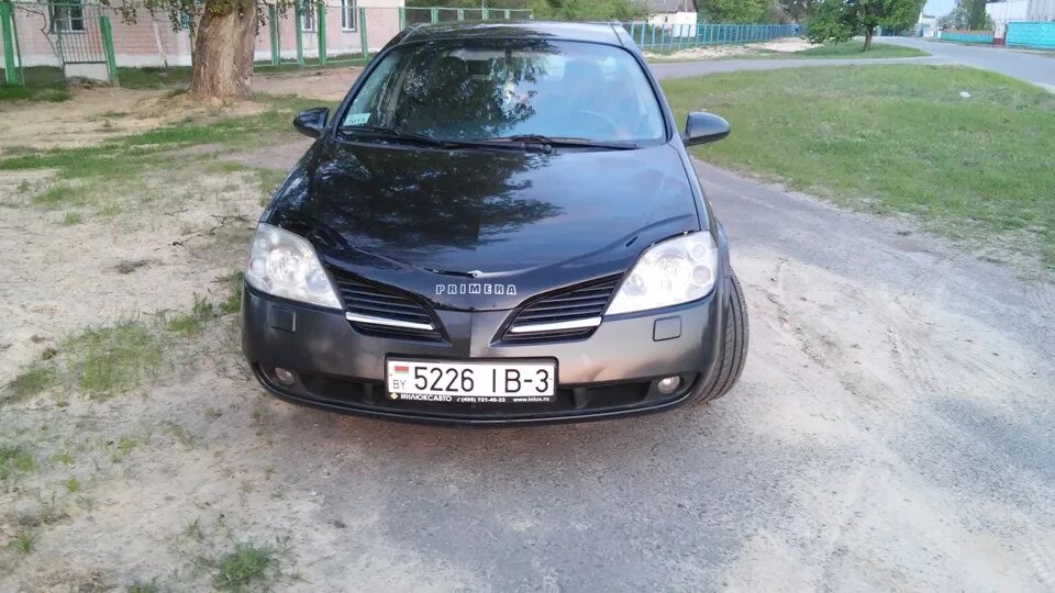 Капот ниссан р12. Мухобойка Nissan primera p12. Ниссан премьера 2007 мухобойкой. Ниссан премьера р11 с мухобойкой. Мухобойка Nissan primera p12 на черную машину.