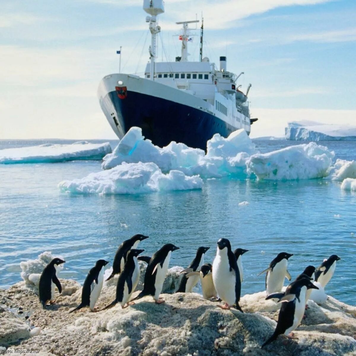 Антарктида путешествие цена. Ушуайя Антарктида. Ушуайя Антарктида круизы. Аргентина пингвины Ушуайя. Ушуайя экскурсии в Антарктиду.