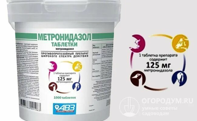 Метронидазол порошок в ветеринарии. Метронидазол порошок для птицы. Метронидазол ветеринарный таблетки порошок. Метронидазол 250 ветеринарный. Метронидазол ветеринарный.
