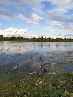Погода в солотче рязанской