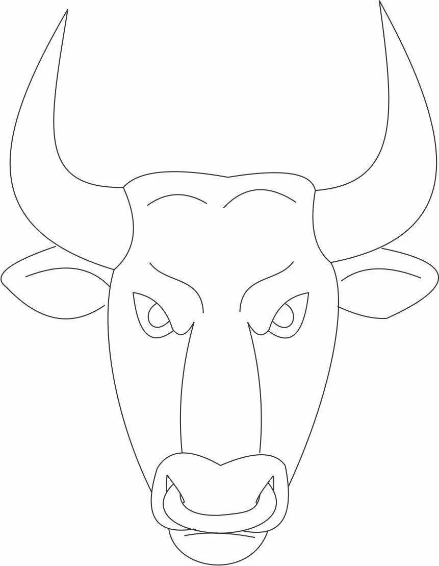 Легкий рог. Бык морда спереди. Голова быка рисунок. Рисунок быка для срисовки. Мордочка быка.