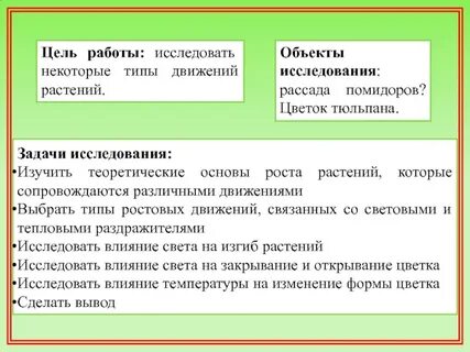 Что лежит в основе роста организмов кратко
