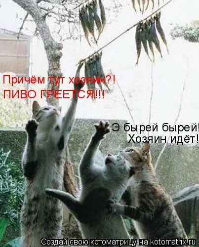 шел хозяин. охраняю твой сон картинки. шел хозяин. шел хозяин. тут помощник нужен.