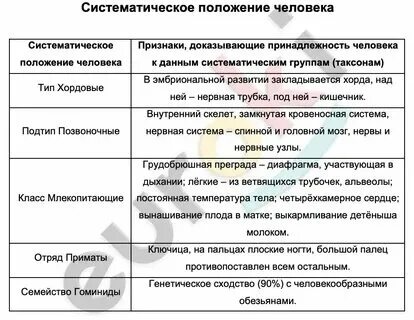 Заполните таблицу систематическая группа характерные особенности примеры