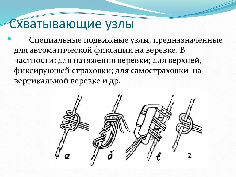 Определи тип узлов