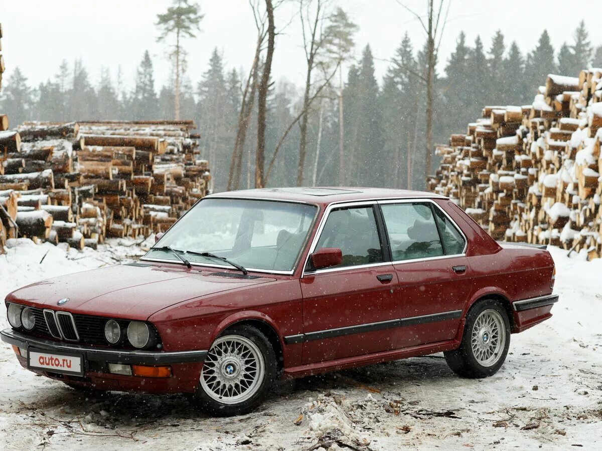 Старый пятерка. BMW e28 1983. BMW 5 [e28] (1983). BMW 528 1983. BMW 528 e28.