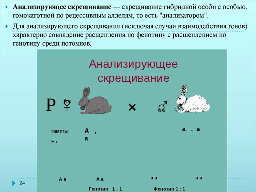 Анализирующее скрещивание. НАЛИЗИРУЮЩЕЕ скрещивани. Анализирующее скрещивание это скрещивание. Скрещивание гибридной особи с особью гомозиготной. Гомозиготная особь с рецессивным признаком