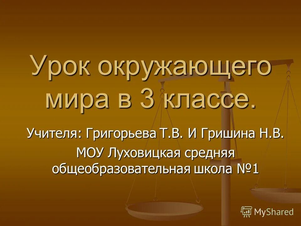 Тесты. Рабочие программы 4 класс школа 2100. Окружающий мир 3 класс учебник плешаков. Окружающий мир 3 класс для учителя. Умк школа 2100 окружающий мир авторы.