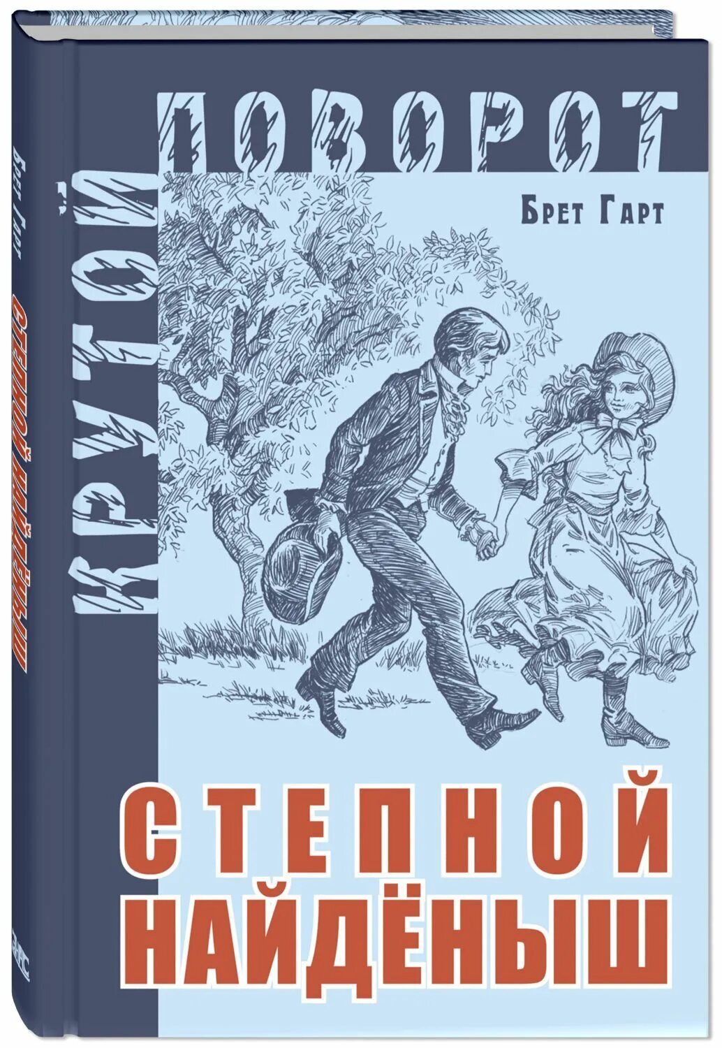 Степной найдёныш Брет Гарт книга. Гарт Брет "Степной найденыш". Книга "Степной найденыш" Гарт. Брет шар тдепной найденыш. Читать книги найденыш