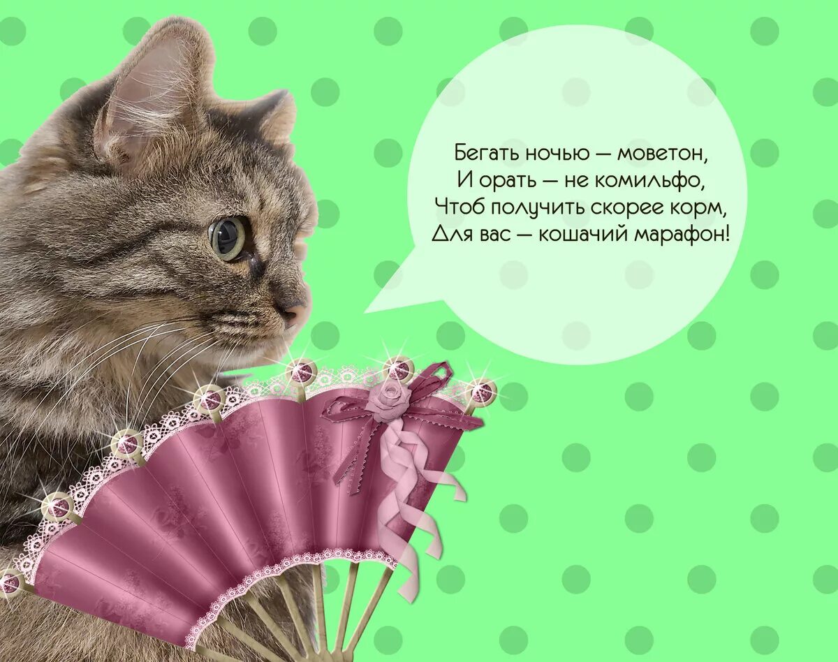 Что такое моветон значение слова. Комильфо моветон. комильфо это что значит. моветон это что значит. комильфо и моветон что это значит.