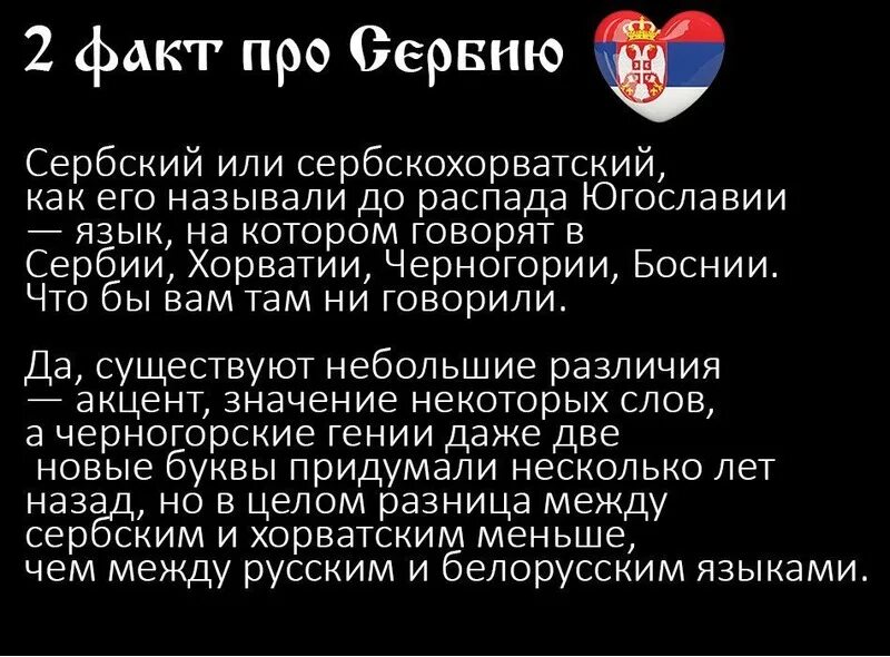 Словенцы и сербы. Сербы интересные факты. Отличия серб. Отличие сербов от черногорцев. Сербы и хорваты отношения.
