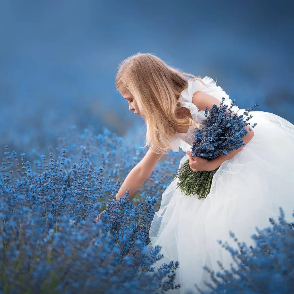 Двойник ирины круг. Группа женщин. Сколько нас таких красивых круг. Группа девочки. Группа девочки состав.