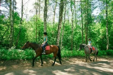 Отдых в подмосковье с лошадьми