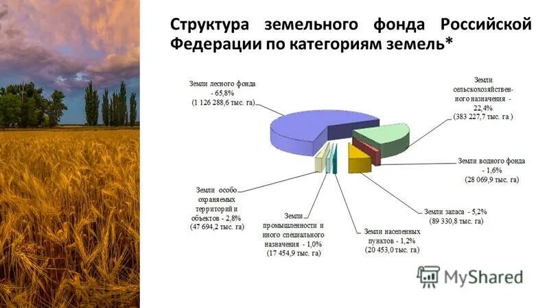 Участки относящиеся к большому. Структура земельного фонда РФ по категориям земель 2020. Категории земель земельного фонда России схема. Структура земельного фонда России схема.