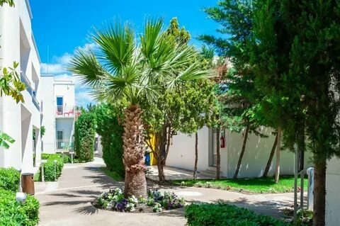 Armonia holiday village spa 5 отзывы