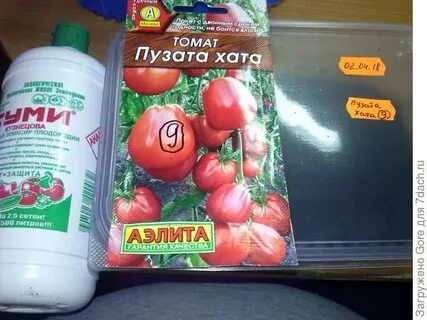 Семена помидор хата