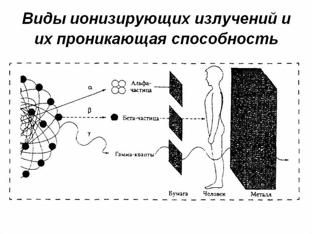 Виды ионизированных излучений. Схема действия ионизирующего излучения на организм человека. Ионизирующие излучения виды ионизирующих излучений. Проникающая способность способность излучения. Биологическое действие ионизирующего излучения схема.