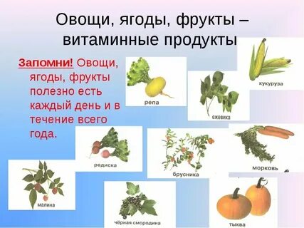 Фрукты овощи ягоды слова