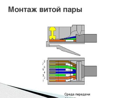 Подключение коннектора к интернет кабелю