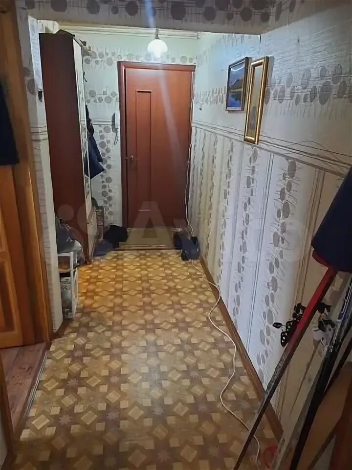 Чистые боры костромская область. Чистые боры костромская область жилье на ночь. Квартиры чистые боры. Авито недвижимость чистые боры костромская область. Квартиры чистые боры.