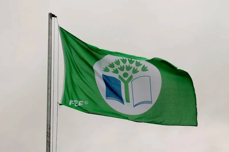 Зеленый флаг страны. Как называется зеленый флаг. Флаг исламской республики. Флаги с зеленым цветом. Зеленый флаг войска.