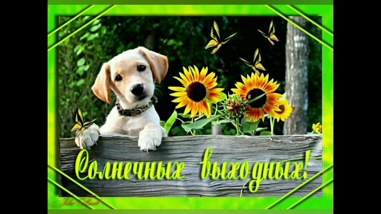 Добрых выходных. Чудесное лето. Прекрасного выходного дня. Хороших выходных и отличного настроения. Хороших летних выходных красивые.