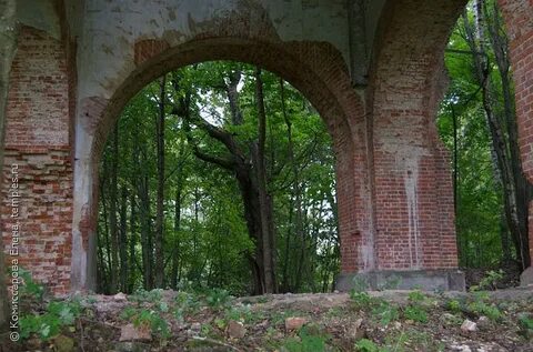 Калужская область медынский