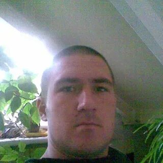 Азаров орел