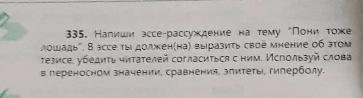 Эссе на тему пони тоже лошадь. Доклад про коня. Факты о пони. Описание лошади. Эссе на тему пони тоже кони.