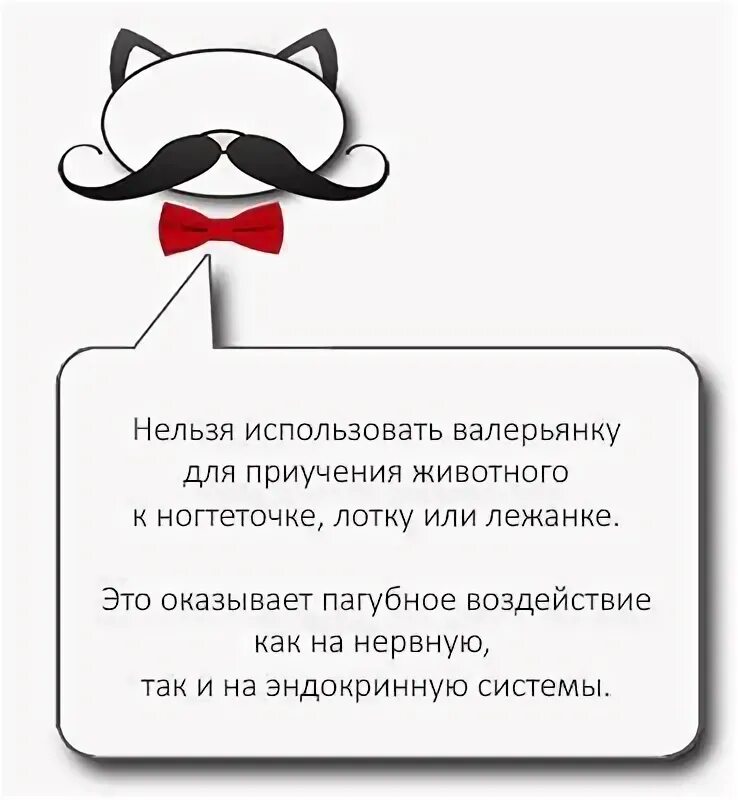 Можно кошке давать валерьянку