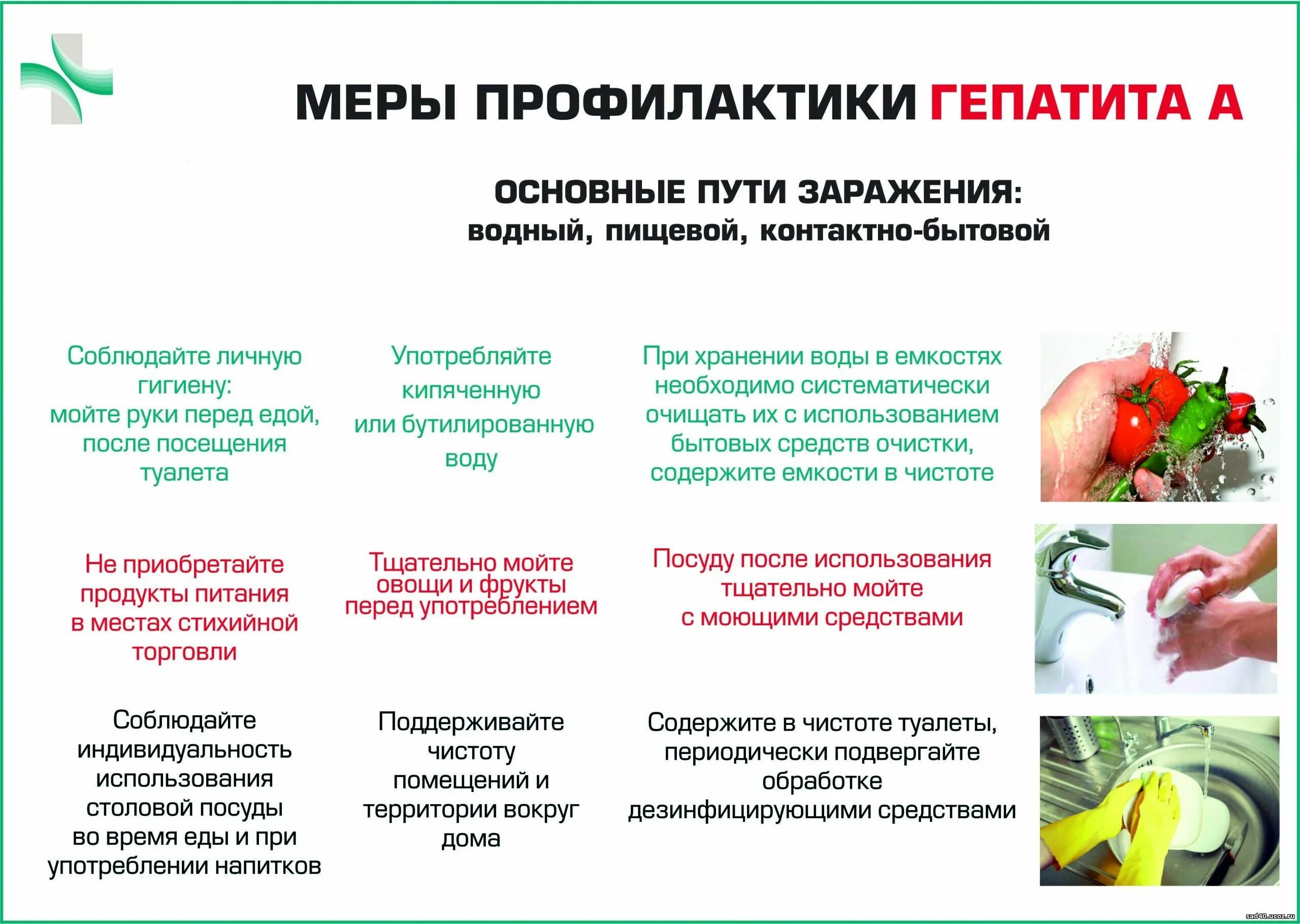 Профилактика вирусного гепатита в. Инфекционный гепатит собак презентация. Профилактика гепатита а памятка. Меры профилактики гепатита в. Профилактика вирусного гепатита в.