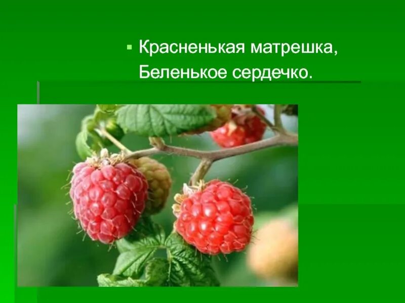 Ответ на загадку красненькая матрешка. Красненькая матрёшка Беленькое сердечко. Загадка Красненькая Матрешка Беленькое сердечко. Красненькая матрёшка Беленькая сердечко что это. Отгадка на загадку Красненькая матрёшка Беленькое сердечко.