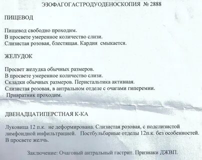 В просвете желчь
