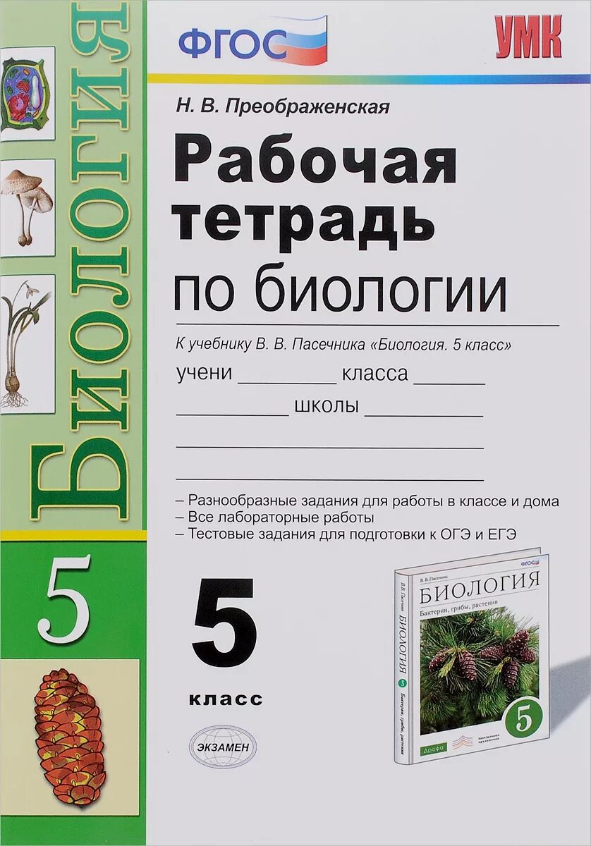 Биология 8 класс фгос пасечник. Биология рабочая тетрадь 5. Рабочая тетрадь к учебнику Пасечника биология 5 класс. Биология 5 класс. Рабочая тетрадь. ФГОС. Пасечник 5 класс рабочая тетрадь.