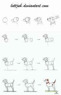 Рисуем щенков поэтапно