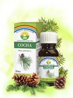 Эфирное сосны