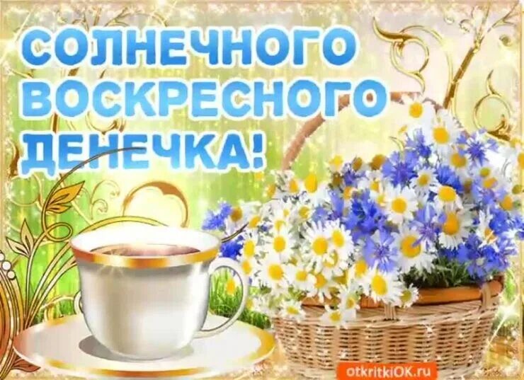Пожелания в воскресный день. Открытки с добрым утром воскресенья. Открытки с добрым воскресным утром. Хорошего воскресенья и отличного настроения. Доброго воскресного утра и хорошего настроения.