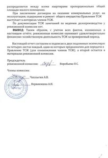 Отчет ревизионный комиссии за год
