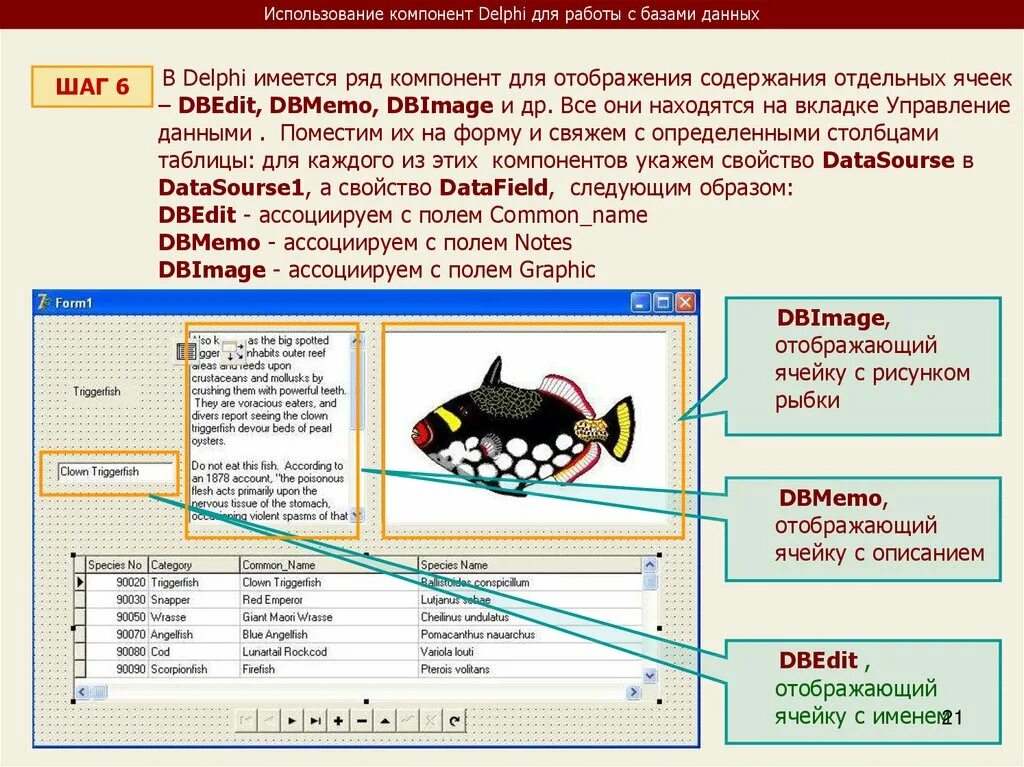 Компоненты работы с базой данных. Пять основных компонентов субд. Управление данными во внешней памяти субд. Принцип работы базы данных. Основные элементы систем управления базами данных.
