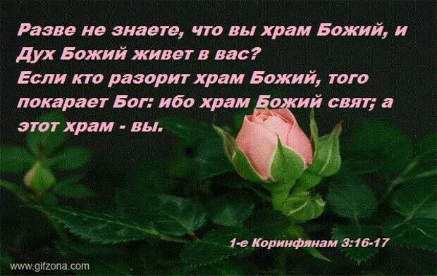 Я знаю бог живет не в церкви. Вы храм божий. вы храм божий и дух божий живет. разве вы не знаете что вы храм божий и дух божий живет в вас. вы храм духа святого.