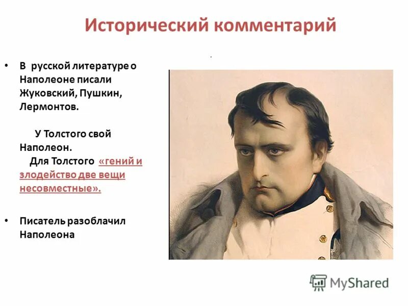 Разоблачение писателей. Толстой писал о Наполеоне.