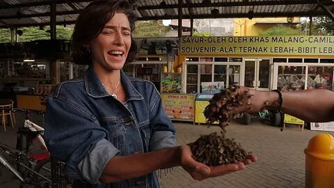 Орел и решка кисловодск