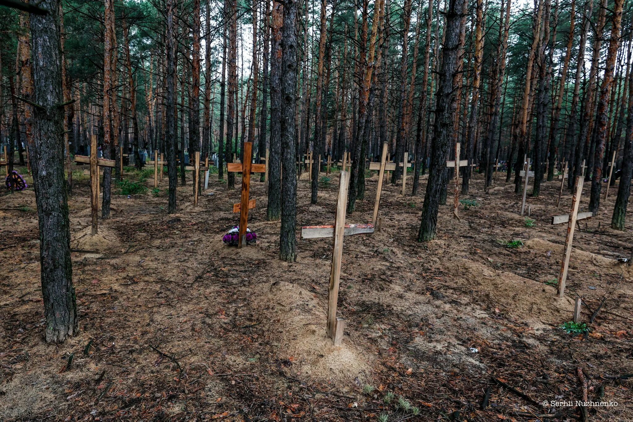 Могильников где снимался. Мугреевский курганный могильник. Могильников где снимался. Бутово захоронение репрессированных. Археологическая раскопка.