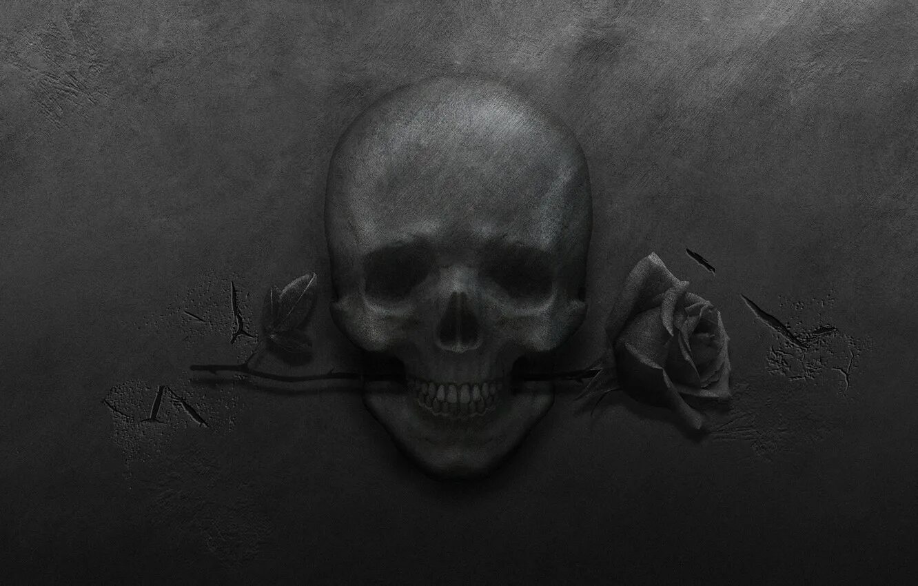 Череп дорс. Череп на черном фоне. табличка с черепом. череп на сером фоне.