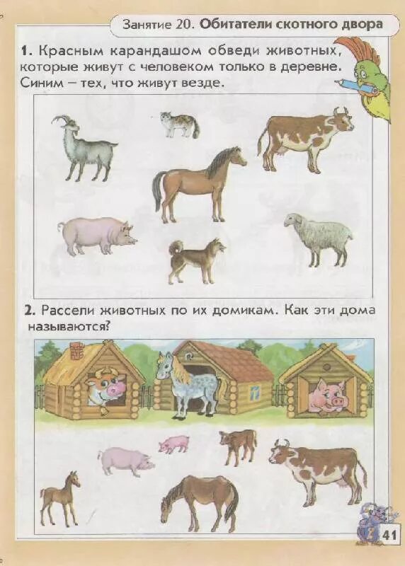 Конспект средней группы домашние животные. Задания по окружающему миру средняя группа. Окружающий мир занятия для детей. Окружающий мир дошкольники занятия. Занятия с детьми по окружающему миру.